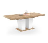 IDMarket - ELIAD mesa de comedor rectangular extensible 6-10 personas madera y blanco 160-200 cm