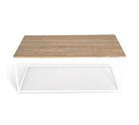IDMarket - Mesa baja rectangular Detroit 113 cm, diseño industrial madera y metal, color blanco