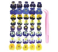 IDNVFY 40 Piezas De Muestras De Flores Naturales Secadas Al Aire, 1 Pieza De Pinzas De Plástico, Decoración De Pasteles No Comestibles, Álbumes De Recortes (8 Tipos).