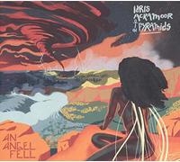 Idris Ackamoor & The Pyramids - An Angel Fell [Vinilo]