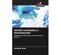 Idrolisi enzimatica e biocarburanti: Modellizzazione dei processi e produzione interna di enzimi