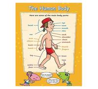 IDUTQUMW Fun Facts About The Human Body Poster - Illustrated Educational Poster for Curious Kids, Elementary Science Class & Home School (Framed,12x18inch(30x45cm))