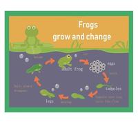 IDUTQUMW Life Cycle of a Frog Poster, Stages from Tadpole to Frog Educational Chart, Science Biology Wall Art for Kids Classroom Decor(Unframed,08x12inch(20x30cm))