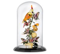 Idyllia Aves y Mariposas Campana de cristal OS