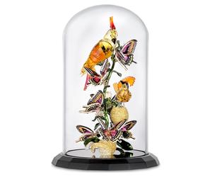 Idyllia Aves y Mariposas Campana de cristal OS