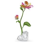 Idyllia Flor, Grande OS