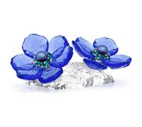 Idyllia SCS Anémona coronaria OS