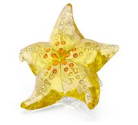 Idyllia SCS Estrella de mar OS