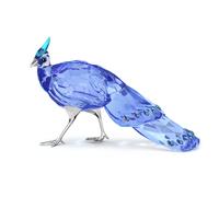 Idyllia SCS Faisán de espolones de Palawan OS