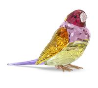 Idyllia SCS Pinzones de Gould, Grande OS