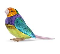 Idyllia SCS Pinzones de Gould, Pequeño OS