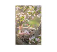 IEJKLUVWX Gato en un nido entre flores Cuadro De Pared Gato durmiendo Lienzo Impreso Lienzo De Alta Definición Duradero Resistente A La Humedad Dormitorio Hotel Mejora Tu Hogar 08x12inch(20x30cm)