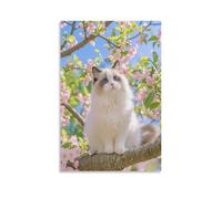IEJKLUVWX Gato ragdoll entre flores Cuadro Único Flores de cerezo Cuadro De Pared Lienzo Impermeable Ecológico Fácil De Instalar Dormitorio Oficina Mejora Tu Hogar 12x18inch(30x45cm)