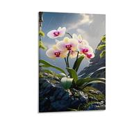 IEJKLUVWX Orquídeas floreciendo entre rocas Decoración De Pared Orquídea Phalaenopsis Cuadro Único Lienzo Impermeable Duradero Resistente A La Humedad Oficina Baño Mejora Tu Hogar 16x24inch(40x60cm)