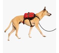 iEnergy Mal - Mochila para Perros - Mochila Impermeable para Perros - Mochila de Senderismo Bien Acolchada Rojo Pequeño