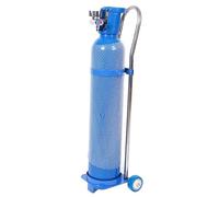 IEOWY Soporte para Cilindros de oxígeno, Carro portabotellas con Ruedas, Soporte móvil Fijo para Cilindros de Gas, Carro rodante para Transporte de Cilindros de oxígeno de 10/15/20 L.