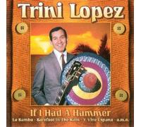 If I Had a Little Hammer