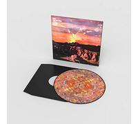 If Love Is The Law (Picture Disc) [12" VINYL]
