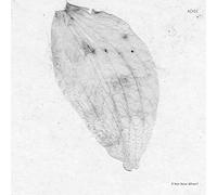 If Not Now When? [Vinilo]