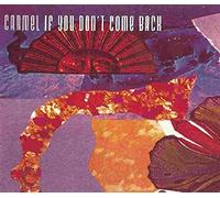 If you don't come back [Single-CD]