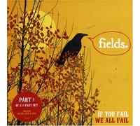 If You Fail We All Fail Pt.1 [Vinilo]