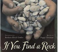 If You Find a Rock