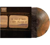 If You Go There, I Hope You Find It [Vinilo]