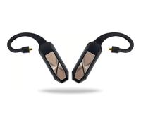 iFi Audio Go Pod - Transmisor inalámbrico