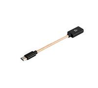 iFi Audio OTG Cable/Adaptador Type C para teléfonos Android/Reproductores de Audio Digital (DAP) / convertidores analógicos Digitales (DAC) / amplificadores/computadoras portátiles