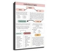 IFS Parts Mapping Personal Growth Poster Internal Family Systems Therapy Chart for Study Room(Unframed,16x24inch(40x60cm))