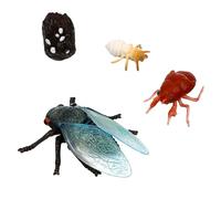 ifundom 1 Juego Figuritas de Cicadas Falsas para Aprendizaje Infantil Ciclo de de Juguetes Educativos para Actividades Preescolar Realistas