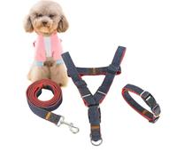 ifundom Correa para Perros Arnés de Poliéster Rojo, Conjunto de Tres Piezas para Control y Protección del Cuello en Paseos al Aire Libre
