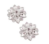 ifundom Hebillas de Zapatos Cristales de Imitación Plata, Clips Delicados para Decoración Instantánea de Flats y Zapatos en Graduaciones o Fiestas