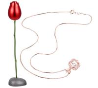 ifundom Kit de Obsequio de San Valentín Cabeza de Rosa y Colgante de Corazón Accesorio de Joyería para Mujer Ocasión de Flor Inmortal