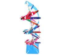 ifundom Modelo de ADN de Doble Hélice Kit Científico Educativo para Enseñanza, Juguete de Ensamblaje Biológico DIY Componentes para Estudio Escolar, Material Didáctico de Biología