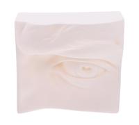 ifundom Modelo de Arte de Boceto de Órgano Sensorial de PVC Irrompible Escultura Didáctica para Estudiantes Herramienta de Práctica para Dibujo y Decoración Artística en Hogar y Oficina