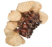 ifundom Pulsera Artesanal De Campanas De Percusión Africana Cáscaras Naturales, Pulsera De Danza Tribal, Sonajero Ligero Para Yoga, Baile y Música, Instrumento Musical Portátil Para Adultos y Niños