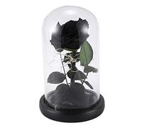 iFutniew Kit, Rosa de Seda Roja y Luz Led con PéTalos CaíDos en CúPula de Vidrio sobre Base de Madera DíA de San ValentíN Aniversario CumpleañOs Negro