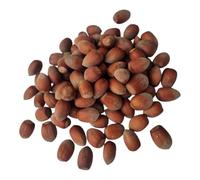 IGART FOOD & WOOD Avellanas Con Cáscara Cosford Frescas Crudas Cosecha Polaca Sin Tostar Alto Valor Nutricional Para Snacks Repostería Muesli Saludable Natural (15kg)