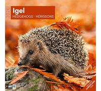 Igel Broschürenkalender 2026 - 30x30 - Art12: Bildstarker Tier-Kalender im schlanken Hochformat (aufgeklappt 30x60 cm) | mit Eintrage-Kalendarium