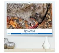 Igeleien - Begegnungen mit hungrigen Igeln (hochwertiger Premium Wandkalender 2026 DIN A2 quer), Kunstdruck in Hochglanz: Igel an ihren Futterplätzen im Garten