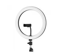 iggual Anillo / aro de luz LED diámetro 10" 26 cm