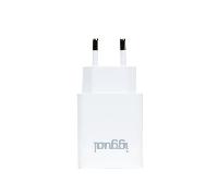 iggual IGG318188 12W