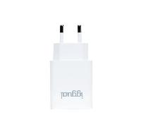 iggual IGG318188 12W