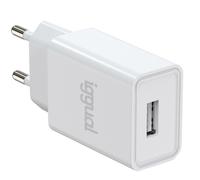 iggual De Pared 1xUSB 5V/2A 10W