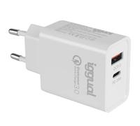 iggual Doble USB QC3.0 + Tipo C PD 20W