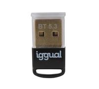 iggual - IGG319383 tarjeta y adaptador de interfaz Interno Bluetooth