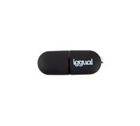 Memoria USB iggual PEN16 16GB USB 2.0 Tapa Negra