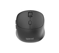 Ratón IGGUAL NANO-OFFICE-6D inalámbrico 1600 DPI Negro 6 Botones