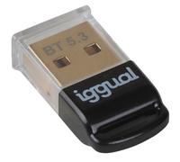 iggual USB 2.0 Mini Bluetooth 5.3